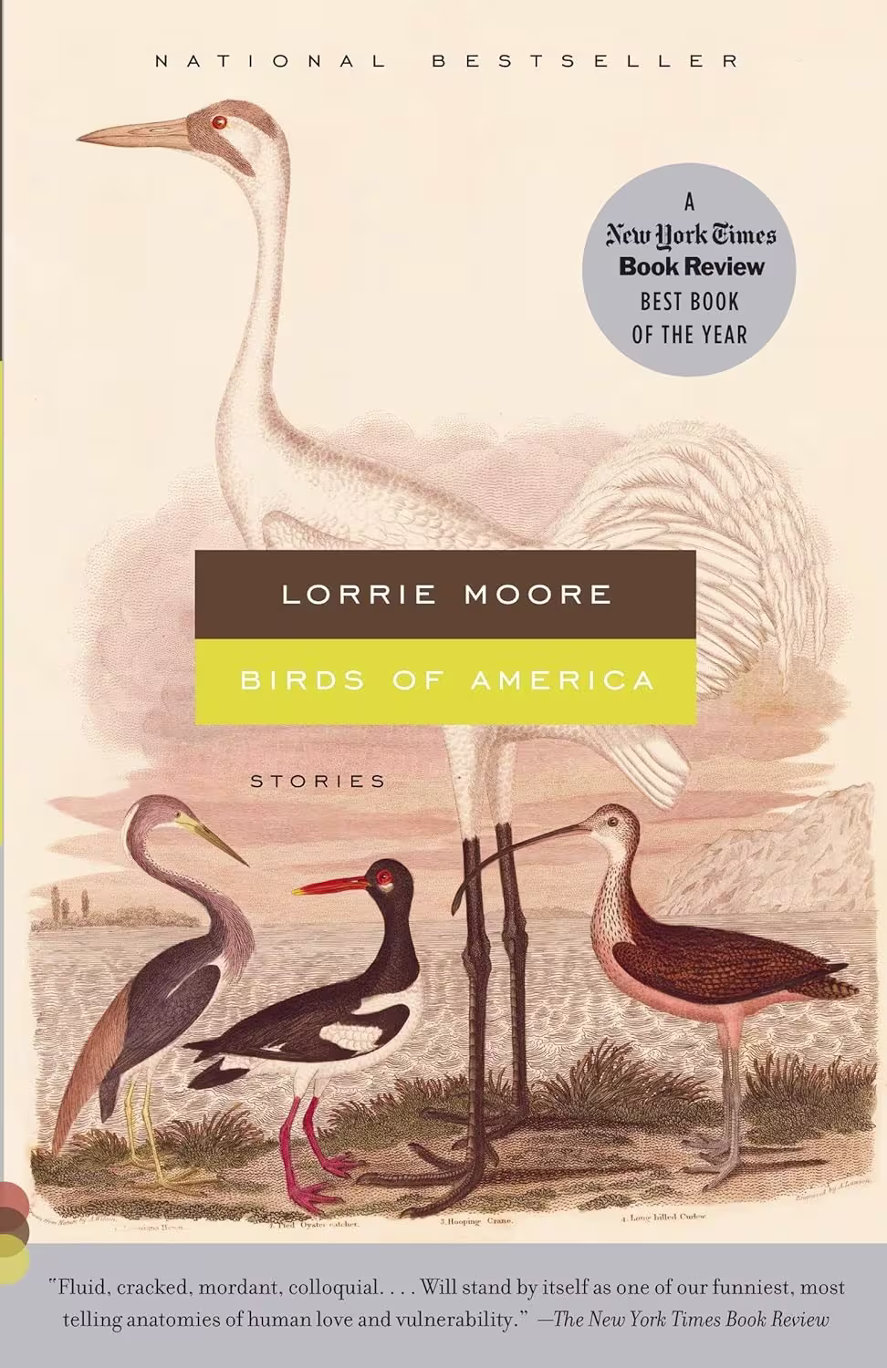 Book 2